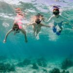 Private boat charter in Grand Cayman - Exploring the Details of Your Grand Cayman Private Boat Tour