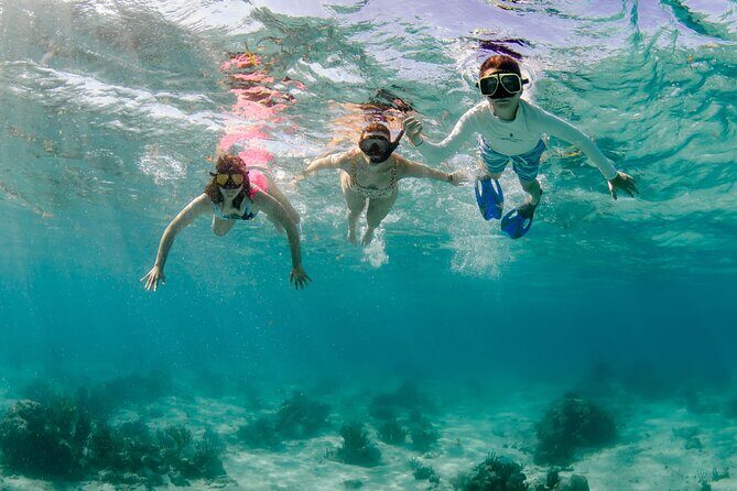 Private boat charter in Grand Cayman - Exploring the Details of Your Grand Cayman Private Boat Tour