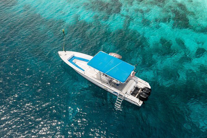 private Boat Dive charter with local guide and all Equipment - Final Thoughts: Is This the Right Choice for You?