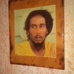 Private Bob Marley 9 Mile& Dunns River Adventures Fr. Montego Bay - Final Thoughts