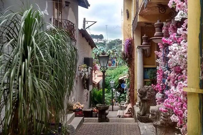 Private Brazilian Art Tour Experience Embu das Artes City of Arts - São Paulo - Why This Tour Is Worth Considering