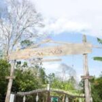 Private: Cacao Plantation Tour with Lunch & Tasting - An In-Depth Look at the Cacao Plantation Tour