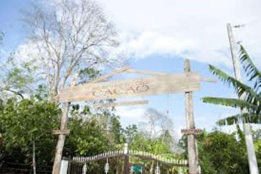 Private: Cacao Plantation Tour with Lunch & Tasting - An In-Depth Look at the Cacao Plantation Tour