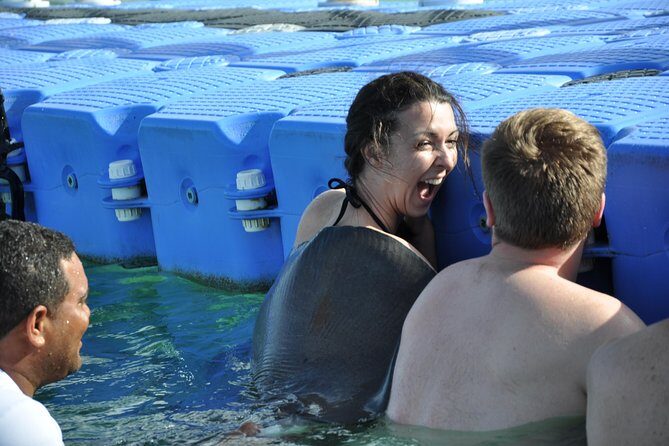 Private Caribbean Snorkeling Cruise At Punta Cana & Sharks, Stingray Encounter