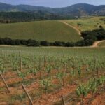 Private Casablanca Valley De Luxe Wine Tour - Who Would Love This Tour?