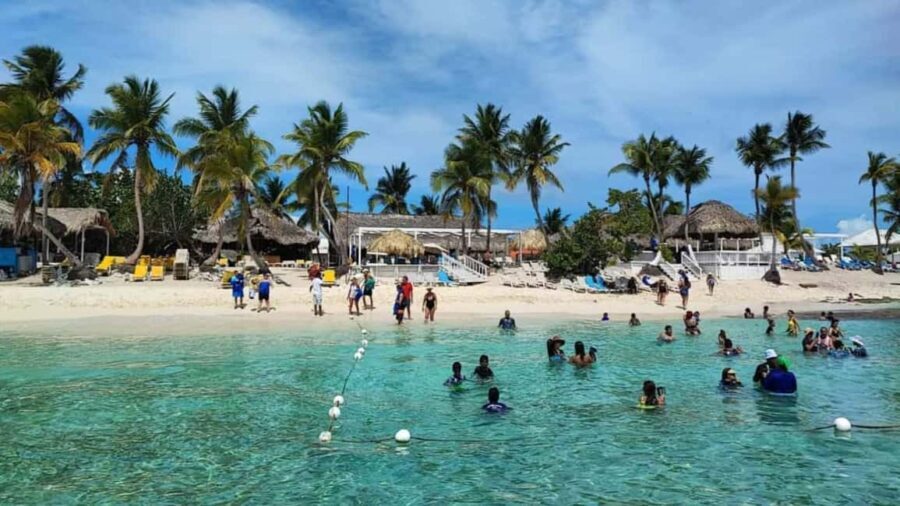 Private: Catalina Island Diving Tour with Lunch - Who Will Love This Tour?