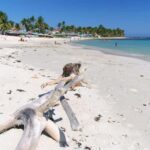 Private Catalina Island Snorkel & Beach Day from Punta Cana - A Few Considerations