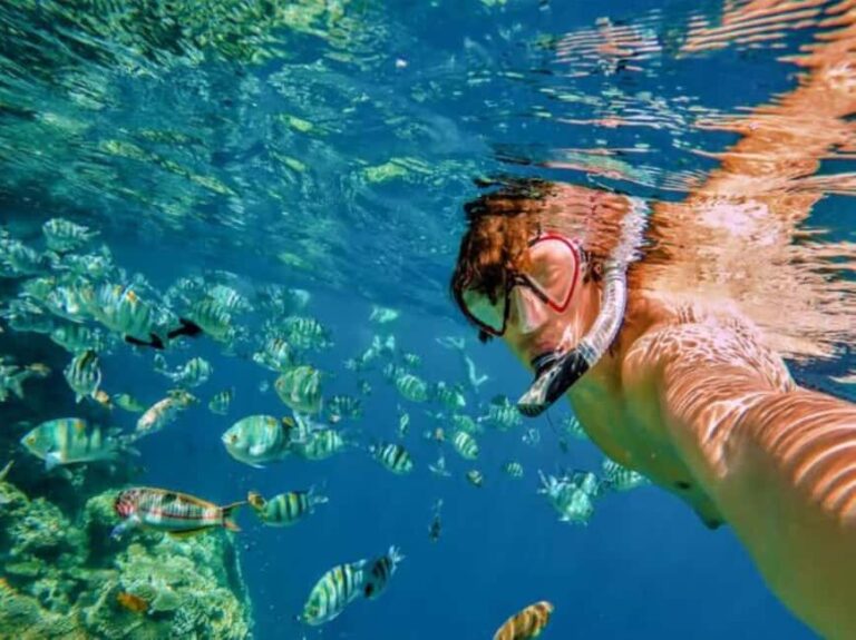 Private: Catalina Island Snorkel Dive Day Trip from Bayahibe - Arrival at Catalina Island and Water Activities