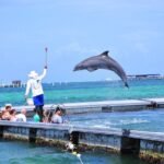 Private Catamaran for Your GroupSnorkeling, Music, Dominican Rum - The Sum Up: Is This Tour Right for You?