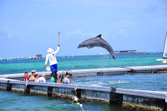 Private Catamaran for Your GroupSnorkeling, Music, Dominican Rum - The Sum Up: Is This Tour Right for You?