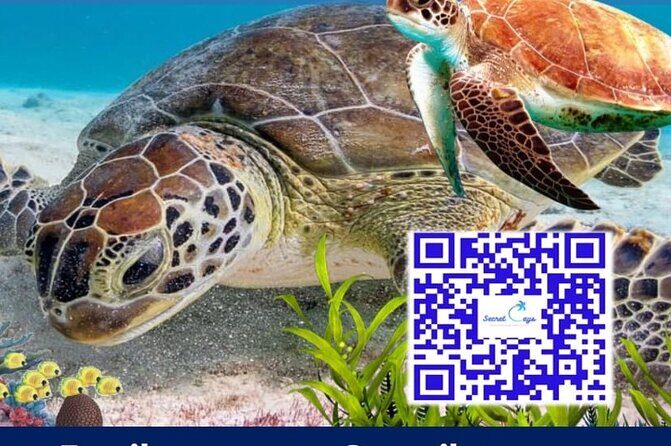 Private Charter for snorkeling, swimming pigs, turtles & fishing.... - FAQ