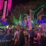 Private Christmas Lights Tour in Medellín! - Only Holiday Season! - Who Should Consider This Tour?