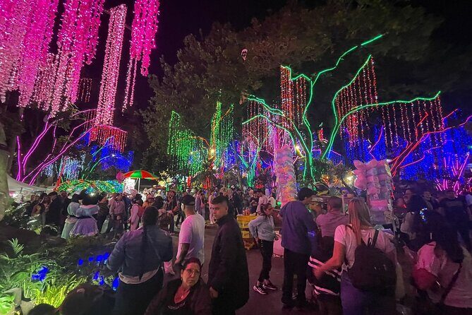 Private Christmas Lights Tour in Medellín! - Only Holiday Season! - Who Should Consider This Tour?