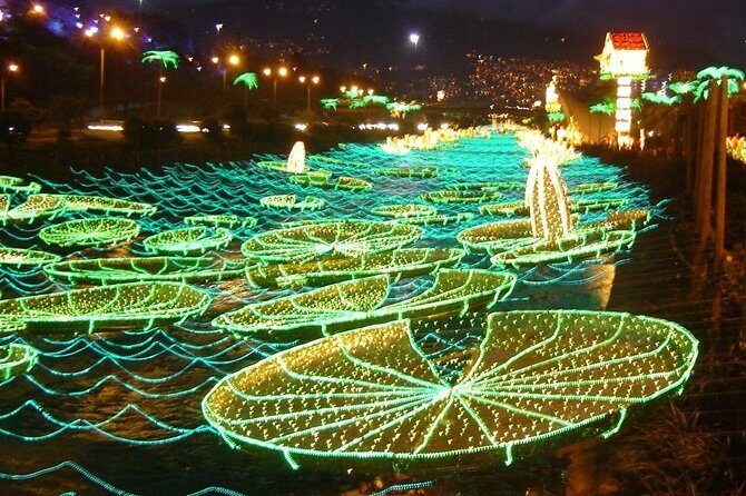 Private Christmas Lights Tour in Medellin - Who Will Enjoy This Tour?