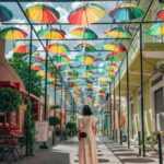 Private City Highlights Shore Excursion & Guided Tour - A Detailed Look at the Tour Experience