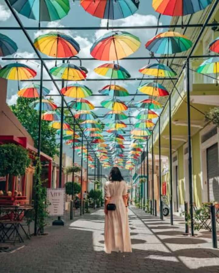 Private City Highlights Shore Excursion & Guided Tour - A Detailed Look at the Tour Experience