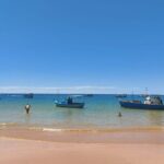 Private City Tour with beach stop for swimming. - Final Thoughts: Who Will Love This Tour?