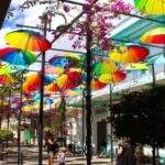 Private: City Tour with Lunch, Rum, and Chocolate - Who Will Love This Tour?