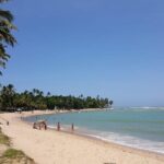 Private Coconut Coast & Praia do Forte Tour - from Salvador - Detailed Breakdown of the Itinerary