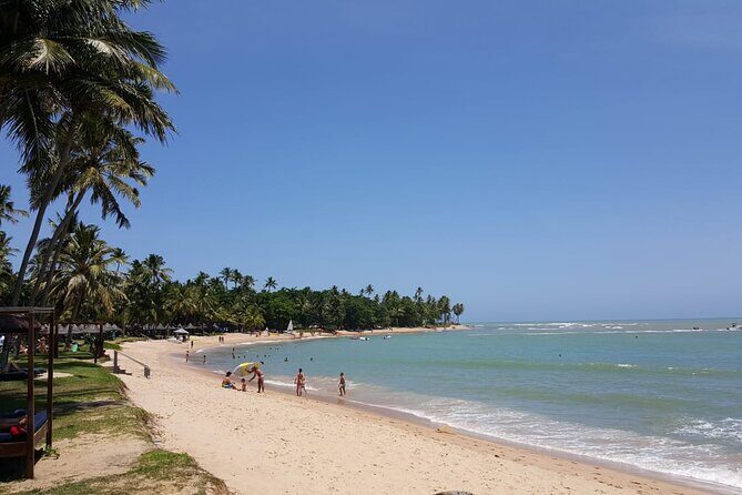 Private Coconut Coast & Praia do Forte Tour - from Salvador - Detailed Breakdown of the Itinerary