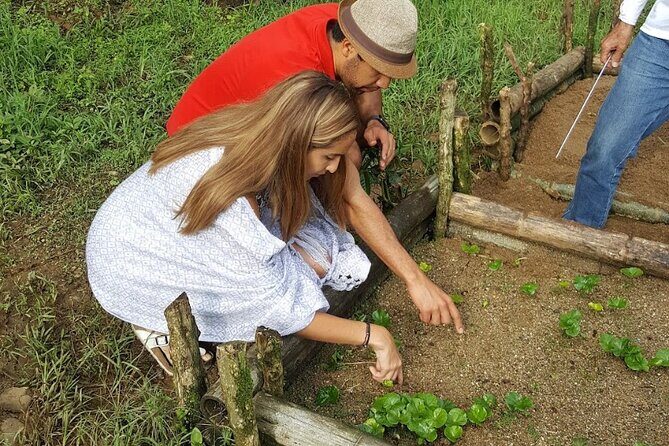 Private coffee tour near Medellín, from bean to cup. - Authentic, Personal, and Educational