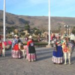 Private Colca Full-Day Tour from Arequipa - The Experience in Detail