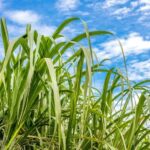 Private: Cultural Higuey & Yuma River Expedition - Scenic River Cruise and Community Visit