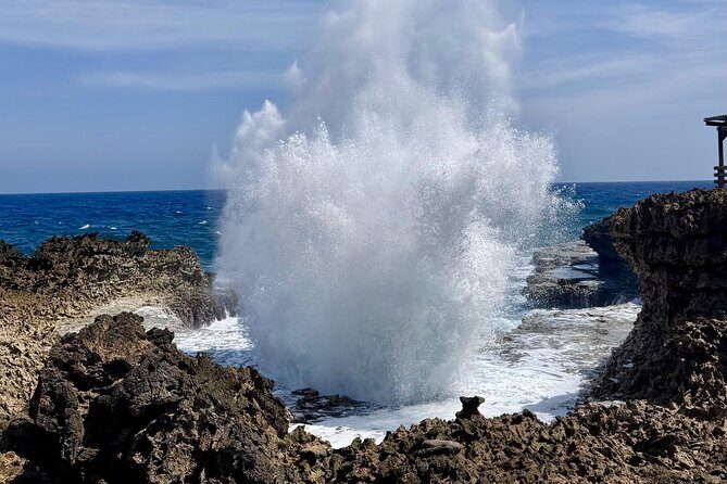 Private Curaçao West Coast: Beach & Nature Photography Tour - What’s Included and What to Consider
