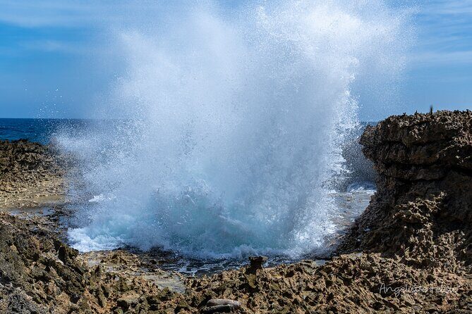 Private Customized Day Tour in Curaçao - Frequently Asked Questions