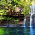 Private: Damajagua Waterfall Imbert Market from Puerto Plata - The Journey to the Waterfalls