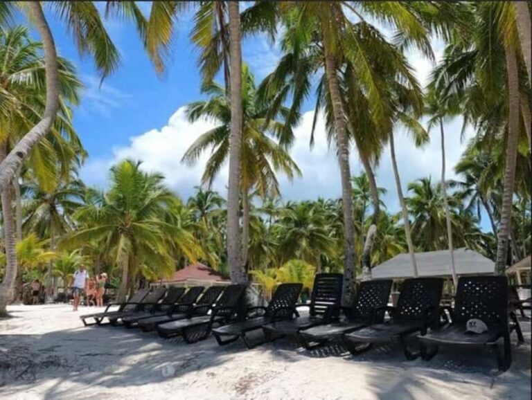 Private Day Excursion to Saona Island from Juan Dolio - Practical Details and What to Bring