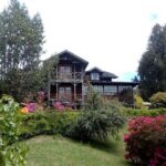 Private Day Tour Frutillar, Puerto Varas and Puerto Montt - What You’ll Love About This Tour