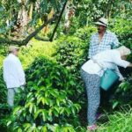 Private Day Tour of Jardín with Horseback Ride and Coffee Villa from Medellin - Exploring Jardin: What You Can Expect