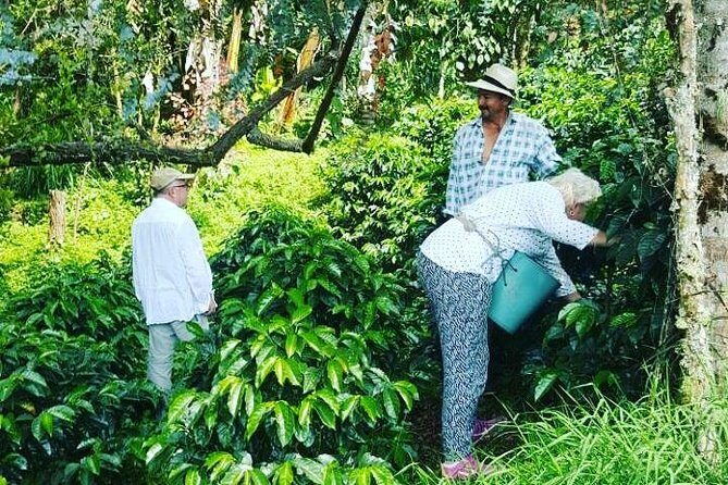 Private Day Tour of Jardín with Horseback Ride and Coffee Villa from Medellin - Exploring Jardin: What You Can Expect