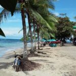 Private Day Trip from San Jose to Cahuita National Park (Caribbean Coast) - An In-Depth Look at the Cahuita National Park Day Trip