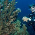 Private Discover Scuba Diving - What Travelers Are Saying