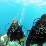 Private Dive Master 1 Tank Dive & Transportation - Why Choose This Dive Experience?