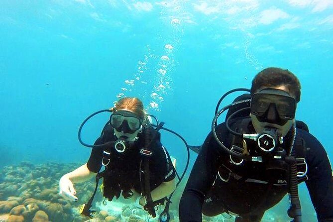 Private Dive Master 1 Tank Dive & Transportation - Why Choose This Dive Experience?