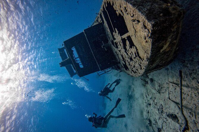 Private Dive + videographer/Photographer (Certified divers only) - Authenticity and Customer Experiences