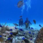 Private Diving Experience for Beginners in San Andres Islands - Exploring the Experience in Detail