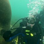 Private Diving Experience with Sea Lions in Punta Loma - Authentic Encounters and Genuine Reviews
