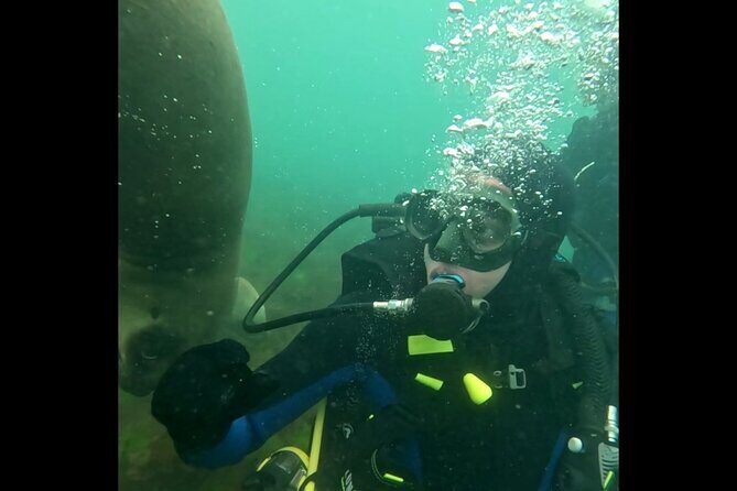Private Diving Experience with Sea Lions in Punta Loma - Authentic Encounters and Genuine Reviews