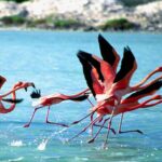 Private Diving & Southside tour - Who Will Love This Tour?