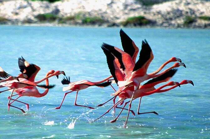 Private Diving & Southside tour - Who Will Love This Tour?