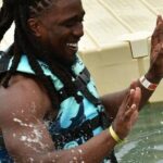 Private Dolphin Cove Adventure - An In-Depth Look at the Private Dolphin Cove Adventure