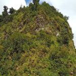 Private Dominica Tour to Trafalgar Falls &Titou Gorge via Minibus - Transportation, Timing, and Group Dynamics