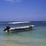 Private Double Reef Snorkel Tour with Optional Parasail Upgrade - The Optional Parasailing Experience
