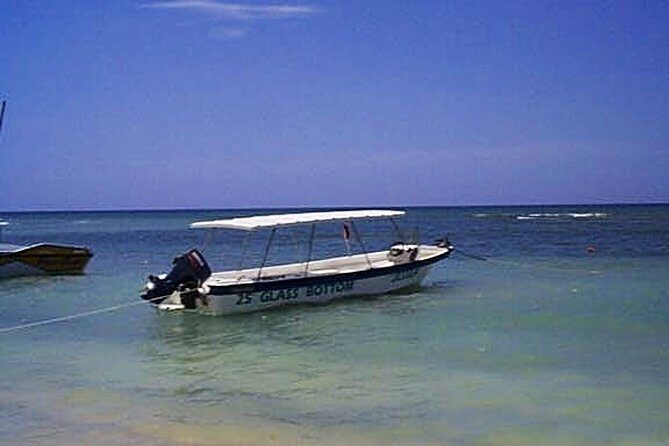 Private Double Reef Snorkel Tour with Optional Parasail Upgrade - The Optional Parasailing Experience