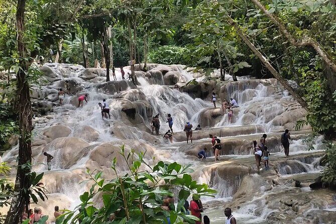 Private Dunn's River and Blue Hole Experience from Montego Bay - The Sum Up: Who Should Book This Tour?