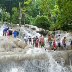 Private Dunn's River Falls Adventure from Montego Bay - Why Travelers Rave About This Tour
